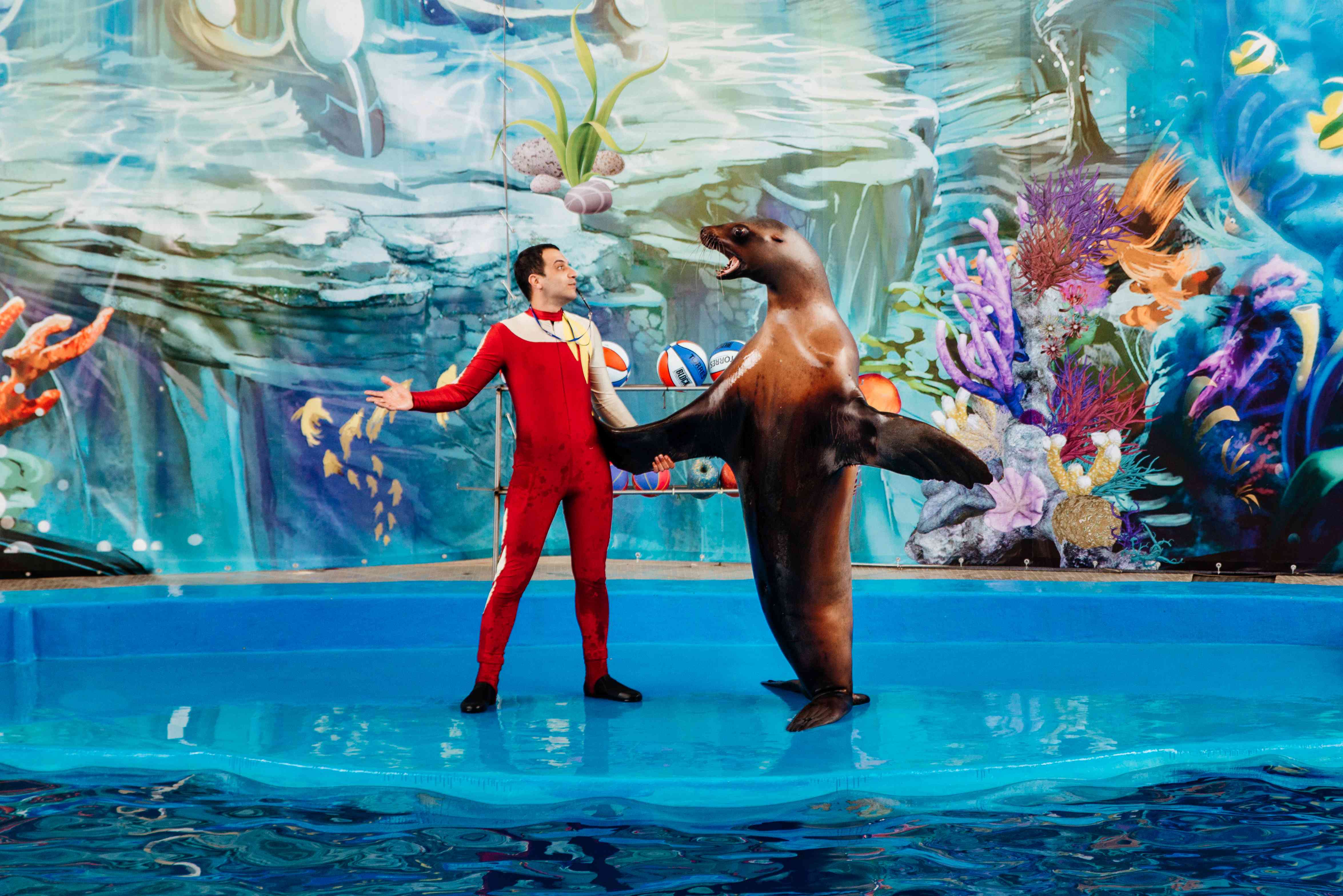 Дельфинарий Морская Звезда