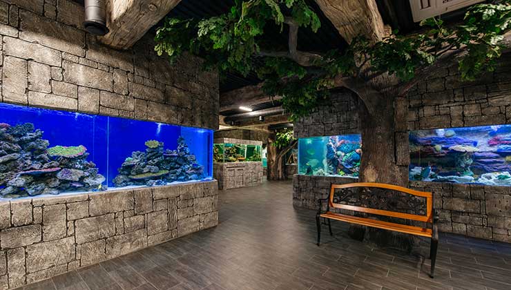 Океанариум / Пингвинарий